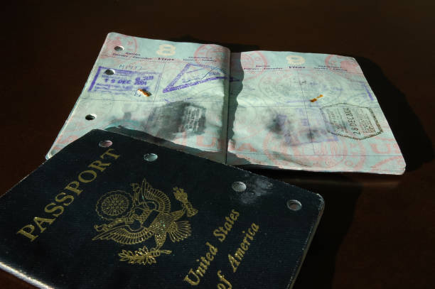 A damaged water soaked United States Passport. Passport Emergency in Hollywood, FL? Here's How to Fix It Fast